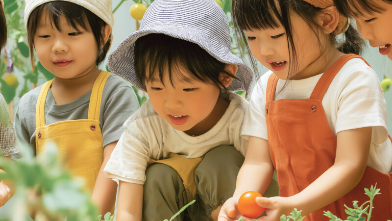 収穫体験の様子